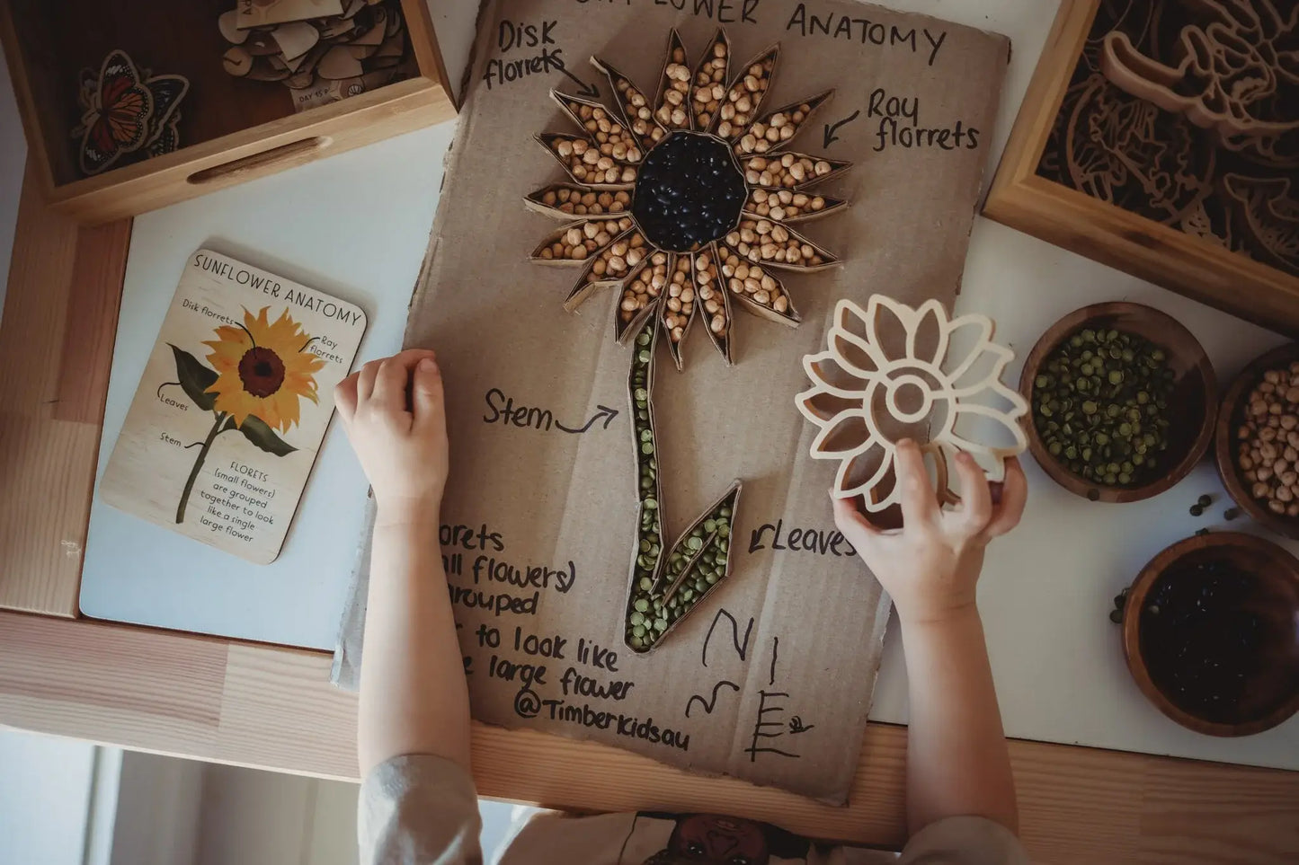 Sunflower Cutter - Eco Playdough Tool