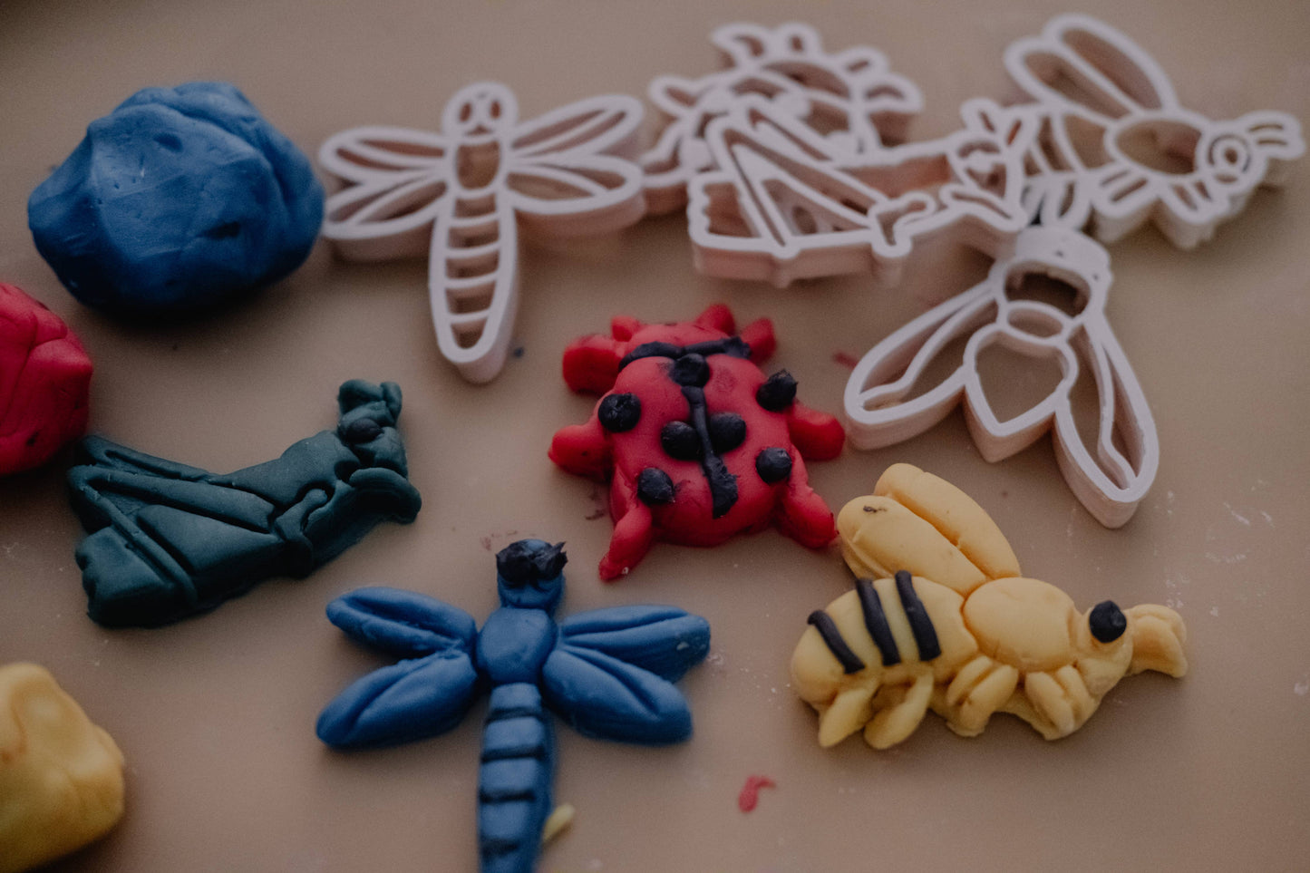 Insect Cutter Set - Eco Playdough Tools