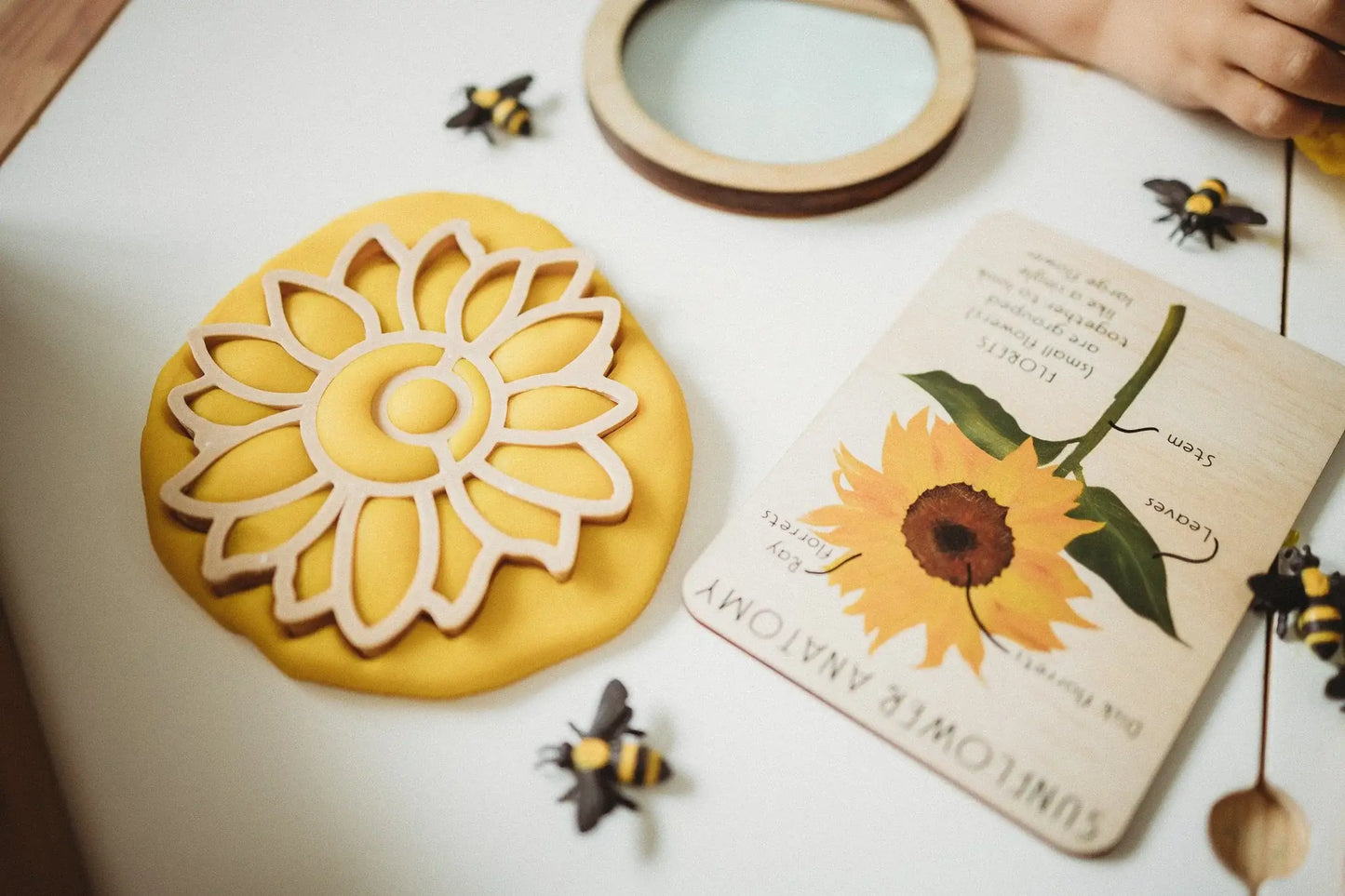 Sunflower Cutter - Eco Playdough Tool