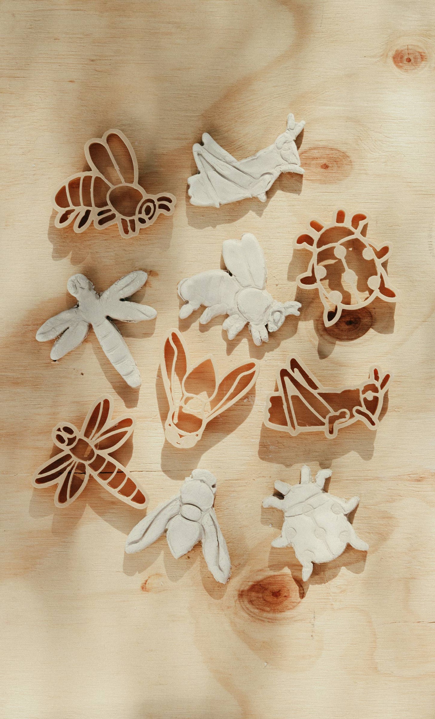Insect Cutter Set - Eco Playdough Tools