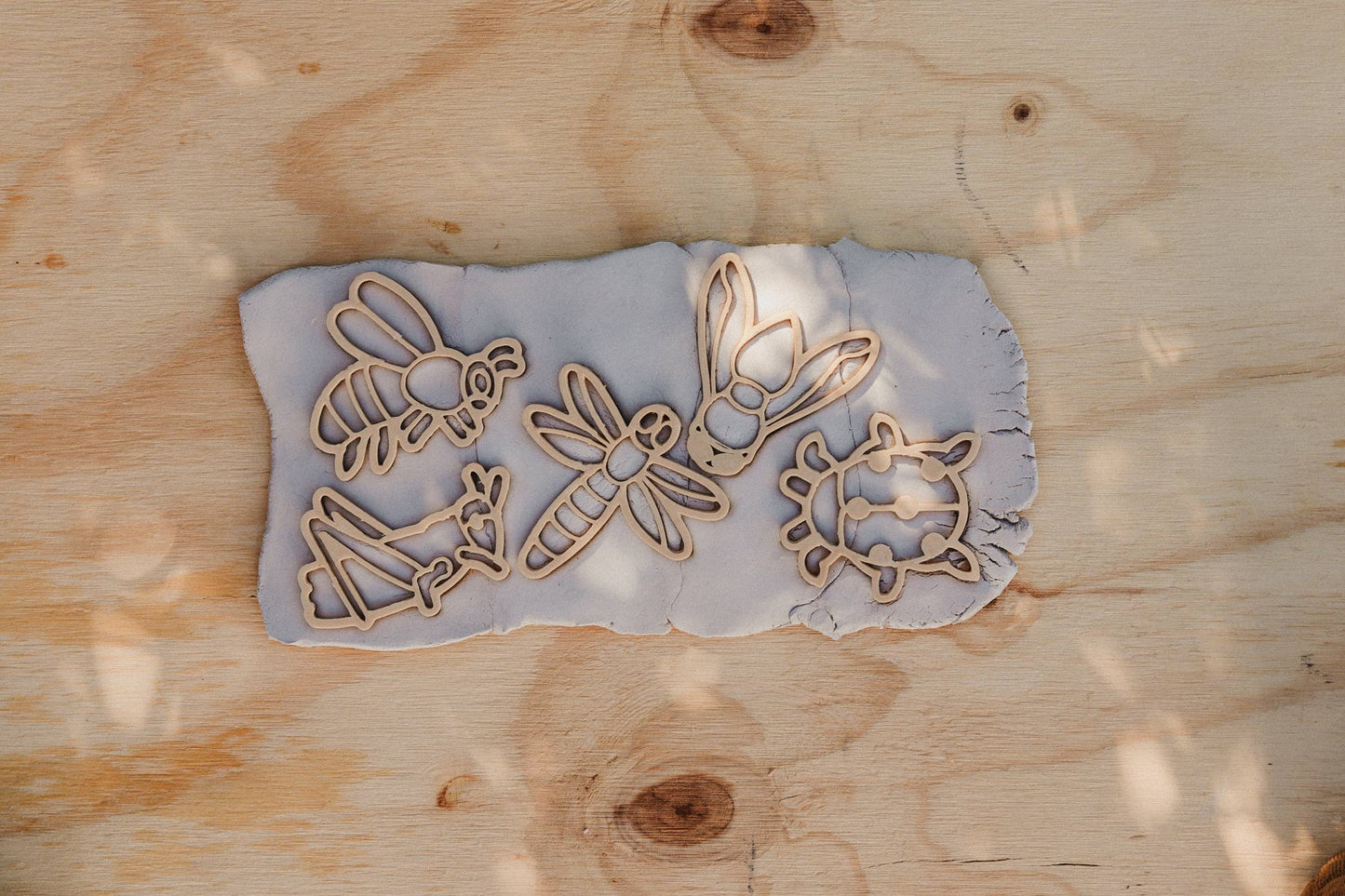 Insect Cutter Set - Eco Playdough Tools